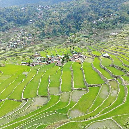 Banaue Transient House Bed And Breakfast Kültér fotó